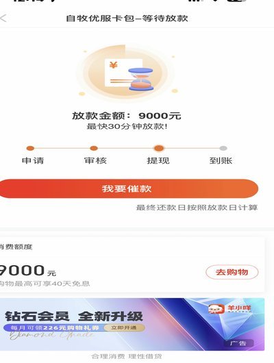 羊小咩贷款app真评：用户体验与安全性深度解析