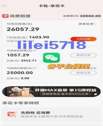 羊小咩额度提取