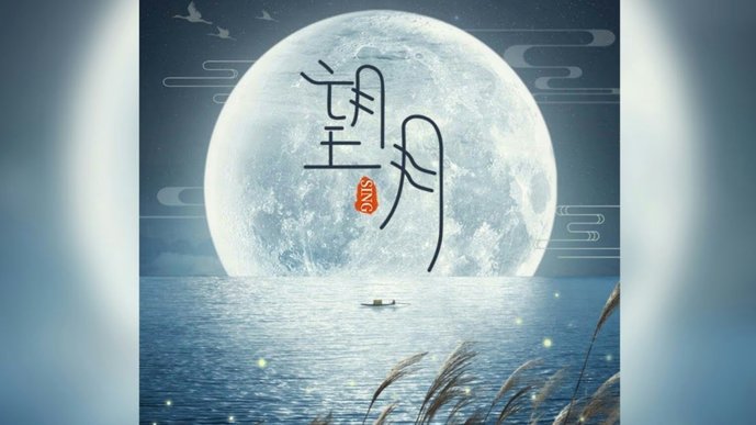 美团月付中的“t”是什么意思