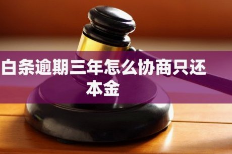 白条逾期快速协商延期技巧