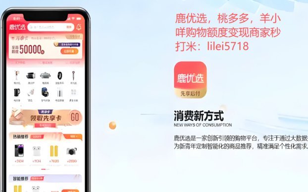 鹿优选先享卡额度策略与用户行为