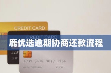 鹿优选借4000到手多少