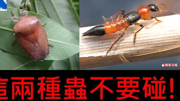 便荔卡套现背后的隐形成本