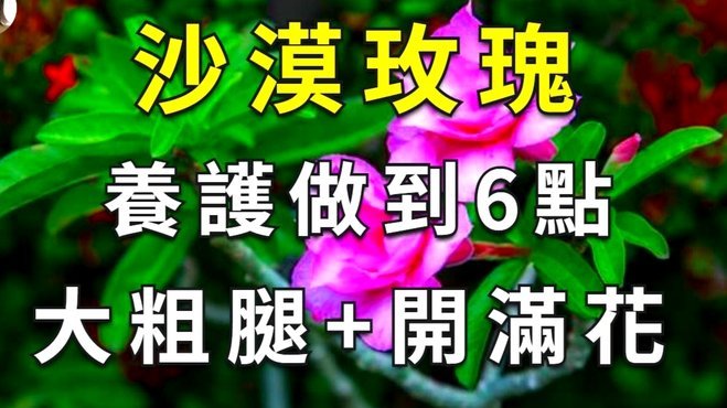 了解花呗实际可用资金