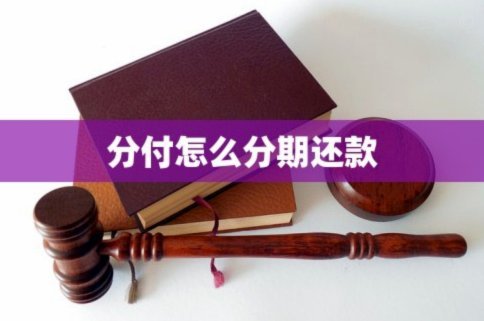 分付24小时取现 哪里还款