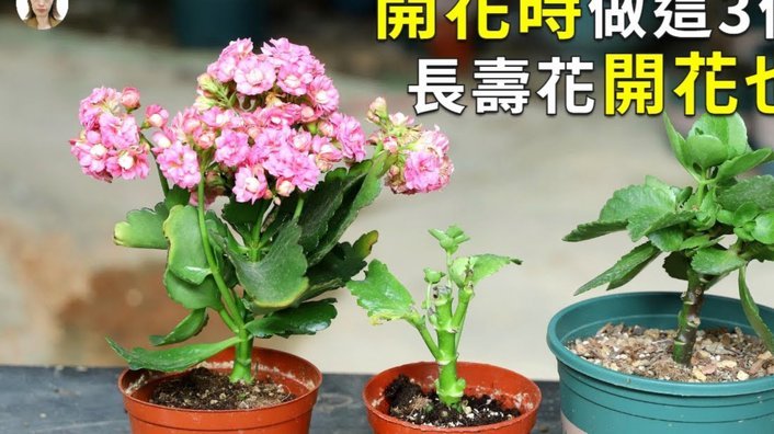 携程取现划算吗？