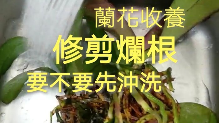 携程拿去花套现几个点