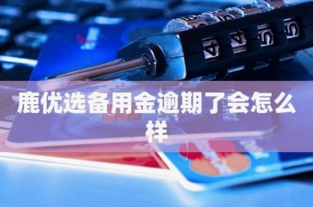鹿优选：你的紧急备用金解决方案