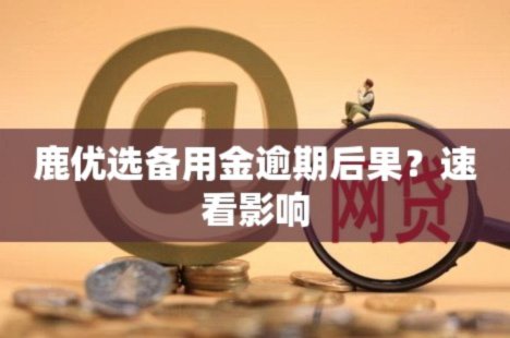 鹿优选备用金