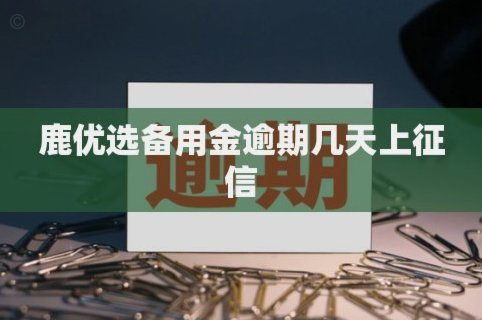 鹿优选备用金