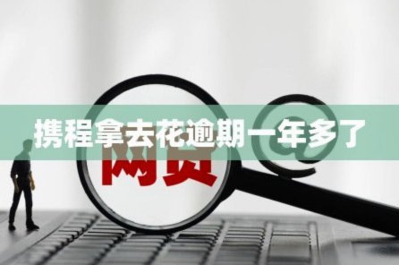 携程拿去花关了，还能重新开通吗？