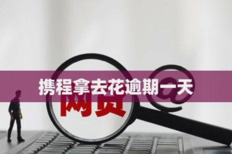 如何取消携程拿去花协议