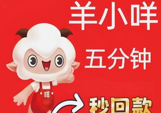羊小咩回购：市场智慧与风险并存