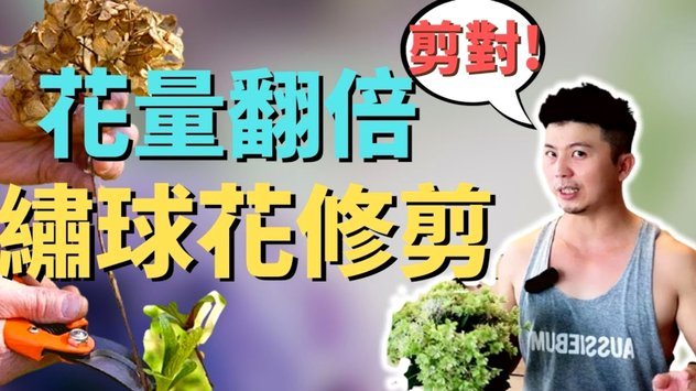 花呗套现手续费怎么算？隐藏成本揭秘