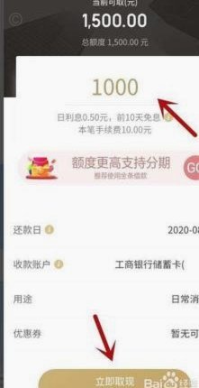 白条背后的融资之道