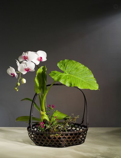 携程拿去花在哪里