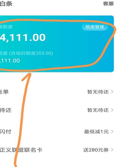 白条 额度问商家bthb56