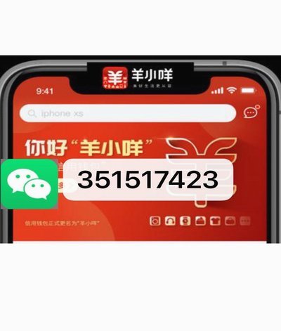 羊小咩下完单几天发货