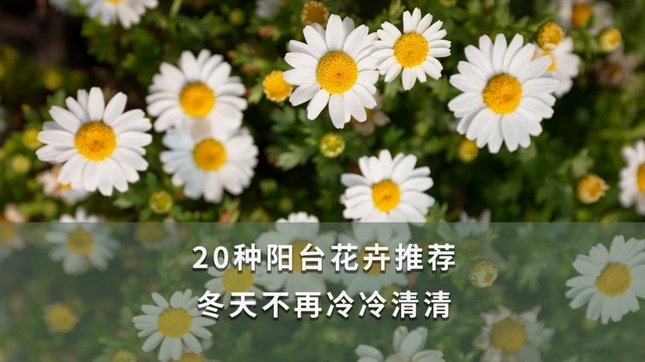 携程拿去花关闭方式