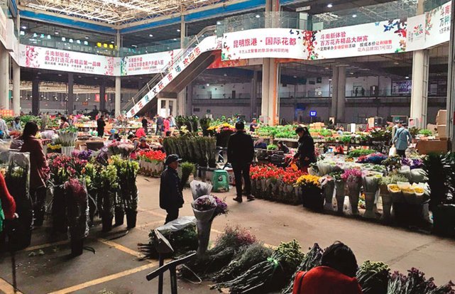 花呗转现平台有哪些