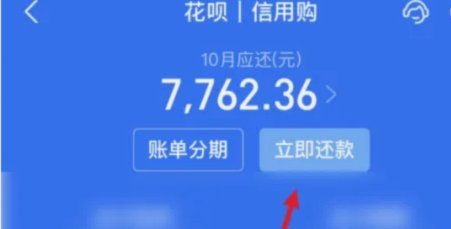 海鸥花呗还款全攻略：掌握债务清偿与财务规划的最佳路径