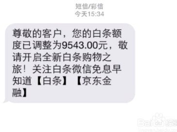 白条如何借出？申请流程、额度获取与安全指南