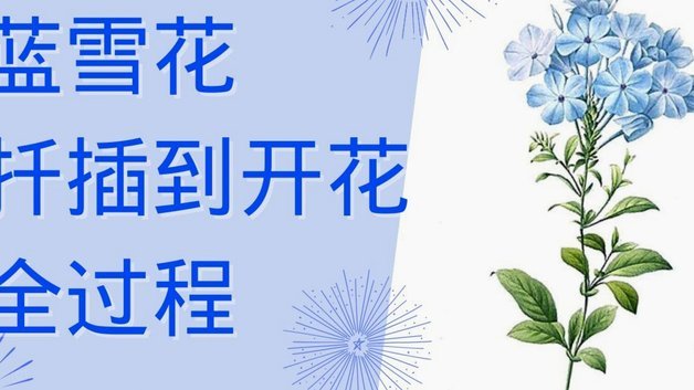 花呗套现三种方法及风险提示