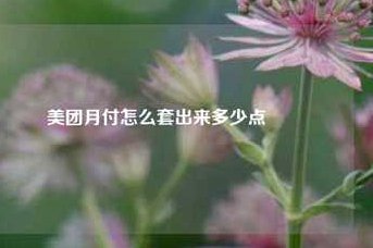 美团月付取款