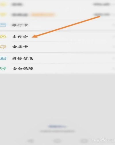 哪些平台支持分付支付？