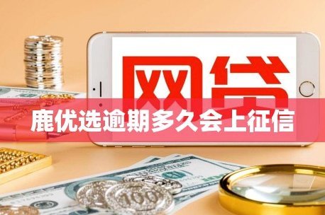 如何科学选择最适合你的鹿优选信用卡额度？