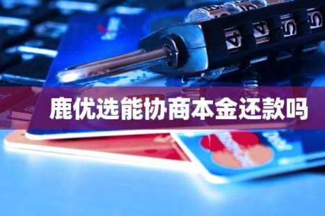 鹿优选哪个额度好下