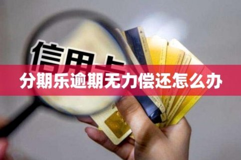 分期乐借不出去？这可能是原因