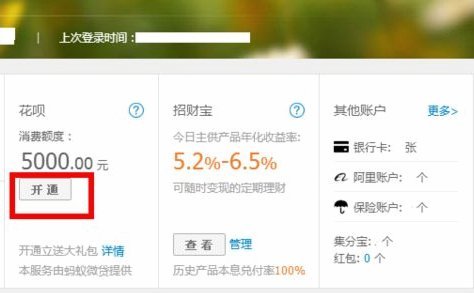 花呗属于哪种类型的业务