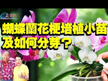 拿去花如何取出来用 现金还款