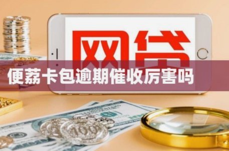 便荔卡包停催申请全解：材料与沟通核心要点