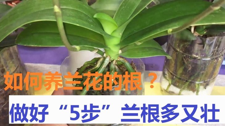 花呗如何合规使用不违规