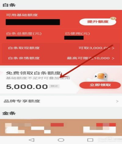 白条加油额度能扫码扫出来吗