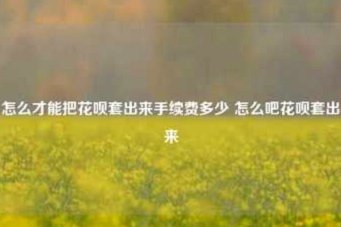 花呗套现还花呗有风险