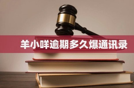借2万还4万，金融风险引关注
